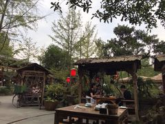 -青城甲(青城山店)