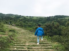 -大姆山草场