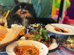 -百好乐宠物友好餐厅(朝外大街店)