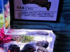 -郑州海洋馆