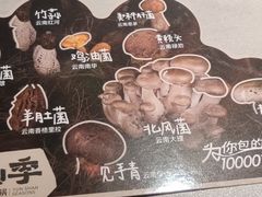 -芸山季·云南野生菌火锅(人民广场来福士店)