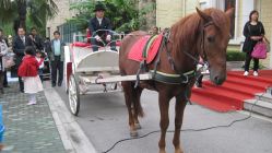 IMG_0771-金庭庄园酒店彩虹厅