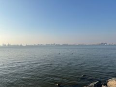 -南汇嘴观海公园