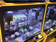-风云再起游乐汇(北京西单西西友谊店)