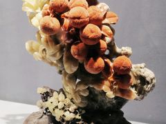 -青田石雕博物馆