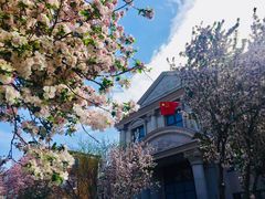 -天津五大道文化旅游区