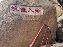 -六里坪国家森林公园