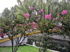 -元大都城垣遗址公园