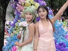 -洛阳白云山景区