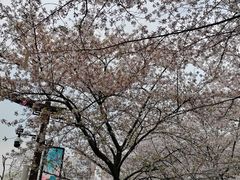 -堤角公园