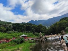 -广州市石门国家森林公园
