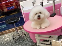 -FAELING PETS美天灵宠物(富力广场店)