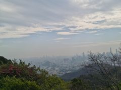 -广州市白云山风景名胜区