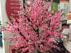 -招商银行(北京东三环支行)