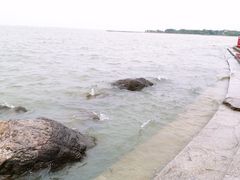 -东方绿舟景区