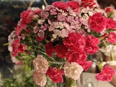 -春暖花开(西溪店)