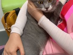 -北京观赏动物医院·24小时大型综合·猫专科·异宠专科