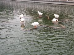 -广东圆玄道观