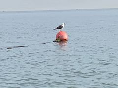 -泊石湾海滨浴场