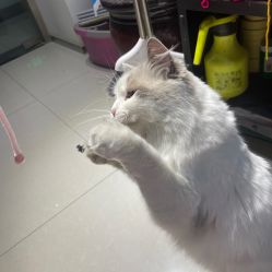 -恒古刺青·祛除纹身·手工穿孔饰品
