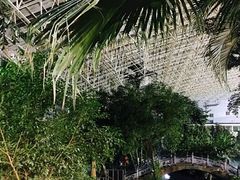 -龙脉温泉室内游泳馆