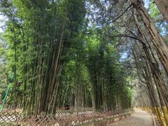 -蝴蝶泉公园
