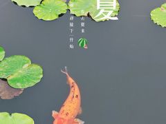-木渎古镇