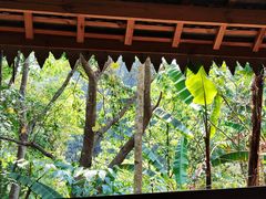 -西双版纳基诺山寨