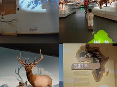 -陕西自然博物馆