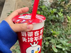 -蜜雪冰城(托乐嘉店)
