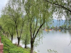 -后柳水乡