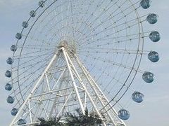 -秦皇岛乐岛海洋王国