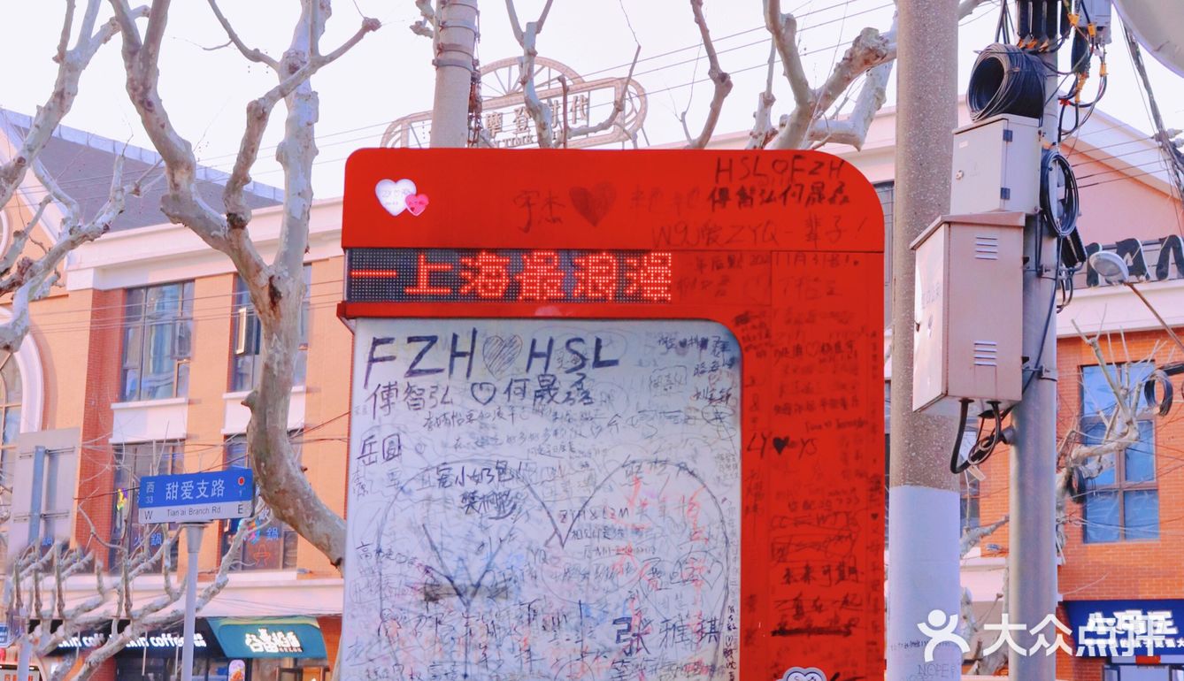 上海免费网红拍摄地 No.43｜甜爱路｜最美马路