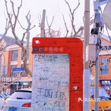 上海免费网红拍摄地 No.43｜甜爱路｜最美马路