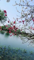 -玄武湖景区-情侣园游乐场
