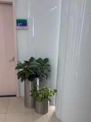 -AIST爱思特医疗美容医院