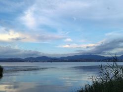 -Oasis Beauty水磨坊科技美肤中心