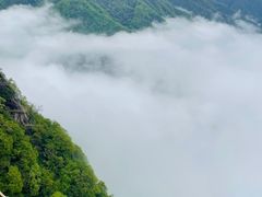 -陕西省红河谷森林公园