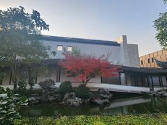 -秋霞圃