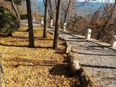 -燕窝岭