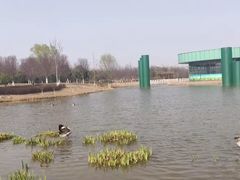 -西安浐灞国家湿地公园