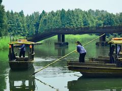 -溱湖国家湿地公园