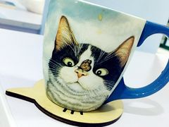-喵的天空名猫咖啡馆·撸猫·猫舍·用品
