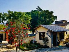-云顶山庄·粤菜·农家菜(共和店)