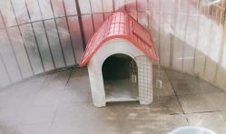 -萌宠亲子动物乐园(槐房万达店)