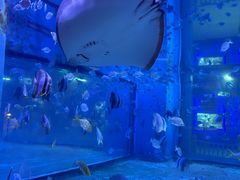 -绿色星球动物主题公园