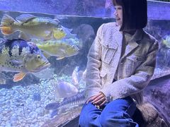 -左海海底世界