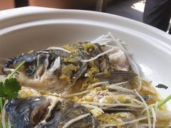 -老山村酒楼(白石洲店)
