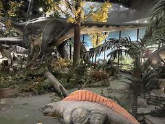 -湖南省地质博物馆