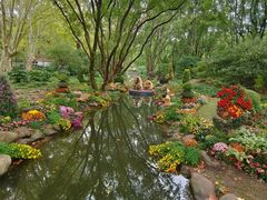 -上海共青森林公园